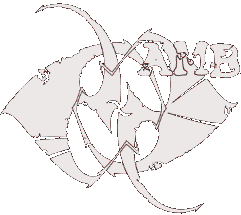 Ambivalence